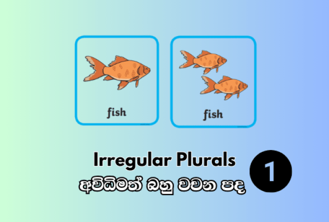 ENGLISH-12