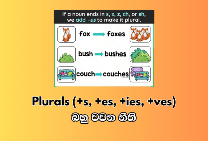 ENGLISH-13