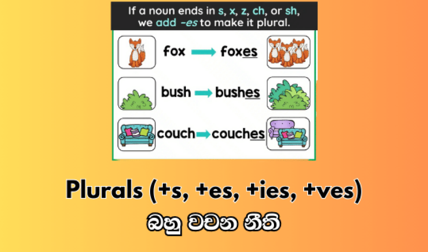 ENGLISH-13 ENGLISH-13