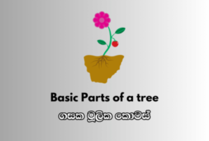 ENGLISH-3-300x208