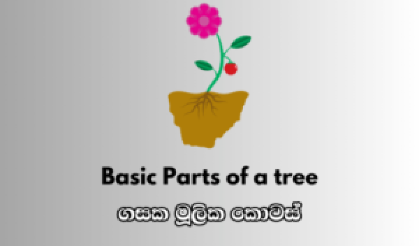 ENGLISH-3-300×208 ENGLISH-3-300x208